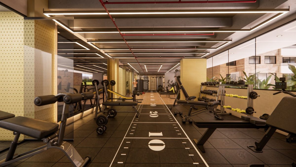 Gimnasio Vive living